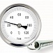 Термометр накладной с пружиной диапазон измерения от  0℃ до 100℃ TIM Y-63A-120